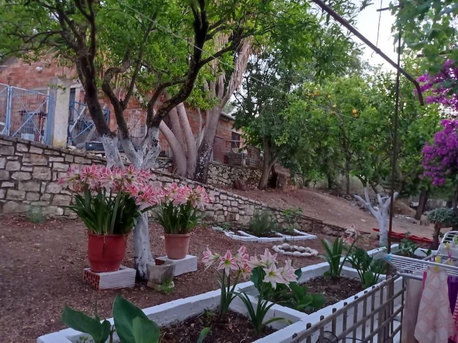 Stavros  Villa Lidi מראה חיצוני תמונה