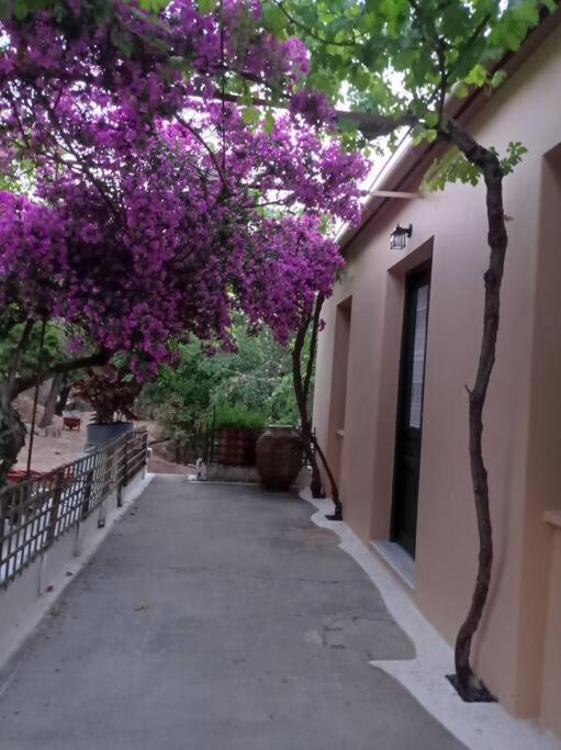 Stavros  Villa Lidi מראה חיצוני תמונה