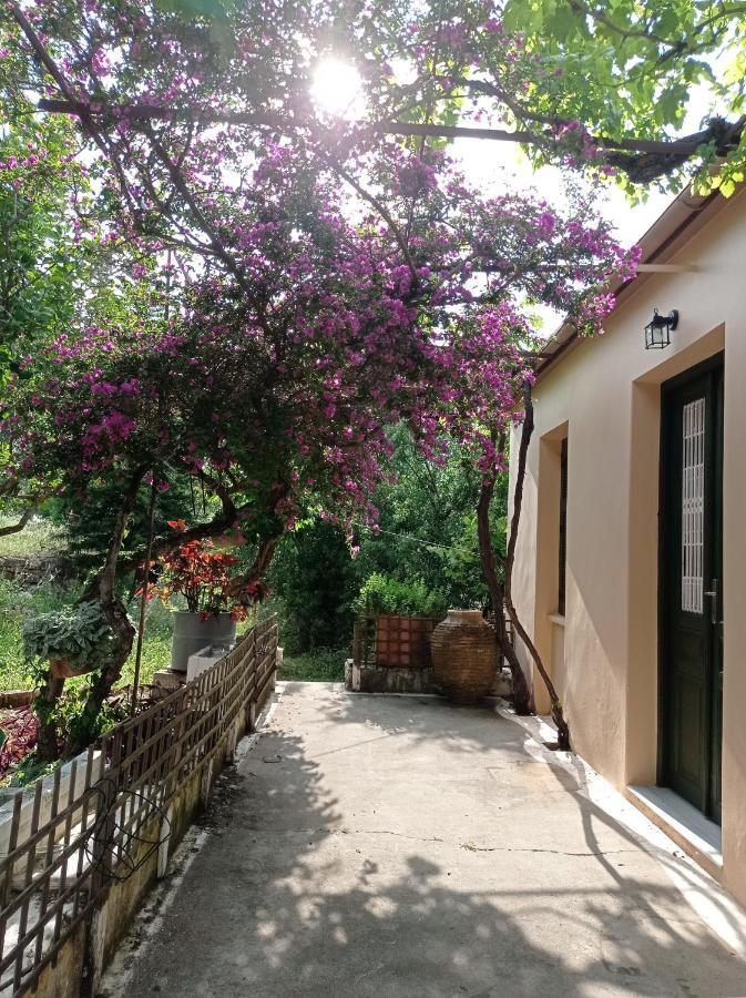 Stavros  Villa Lidi מראה חיצוני תמונה