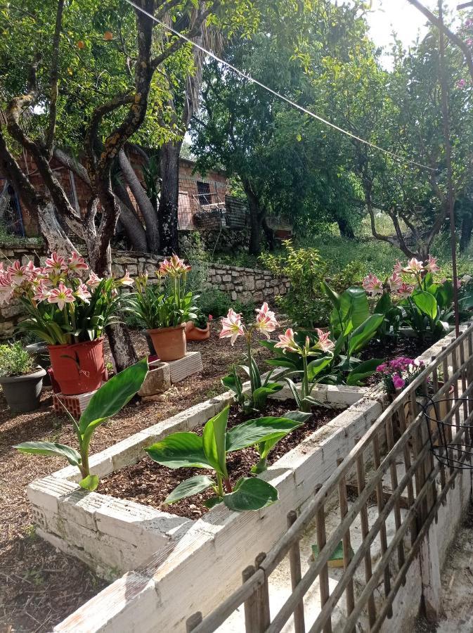 Stavros  Villa Lidi מראה חיצוני תמונה
